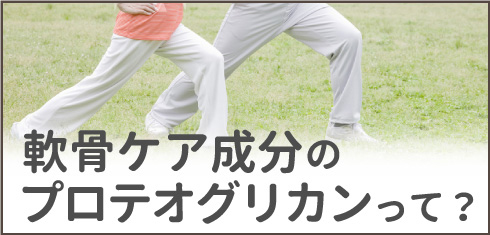 軟骨ケア成分のプロテオグリカンって?